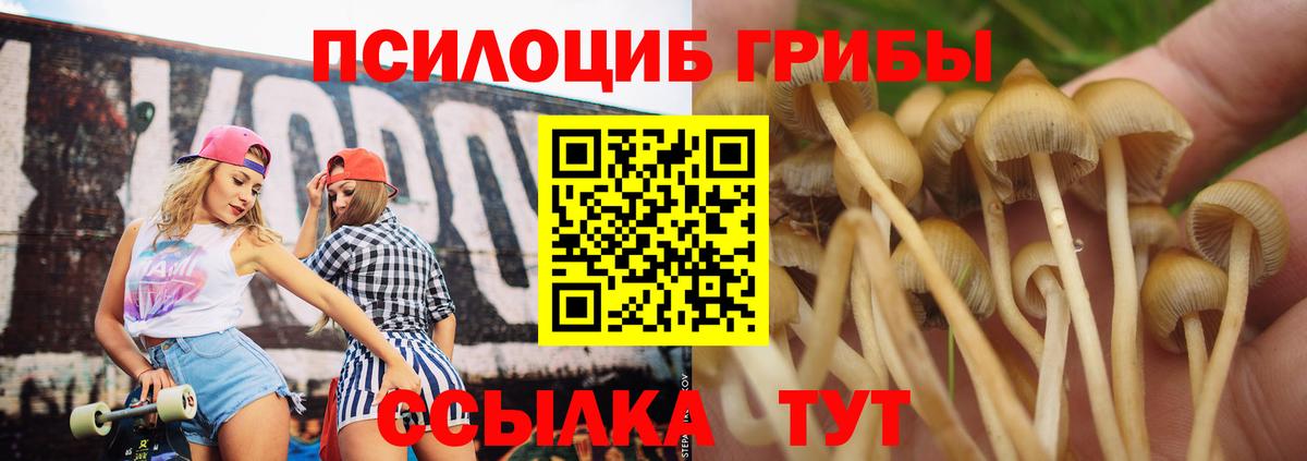 Галлюциногенные грибы Magic Shrooms Красноярск
